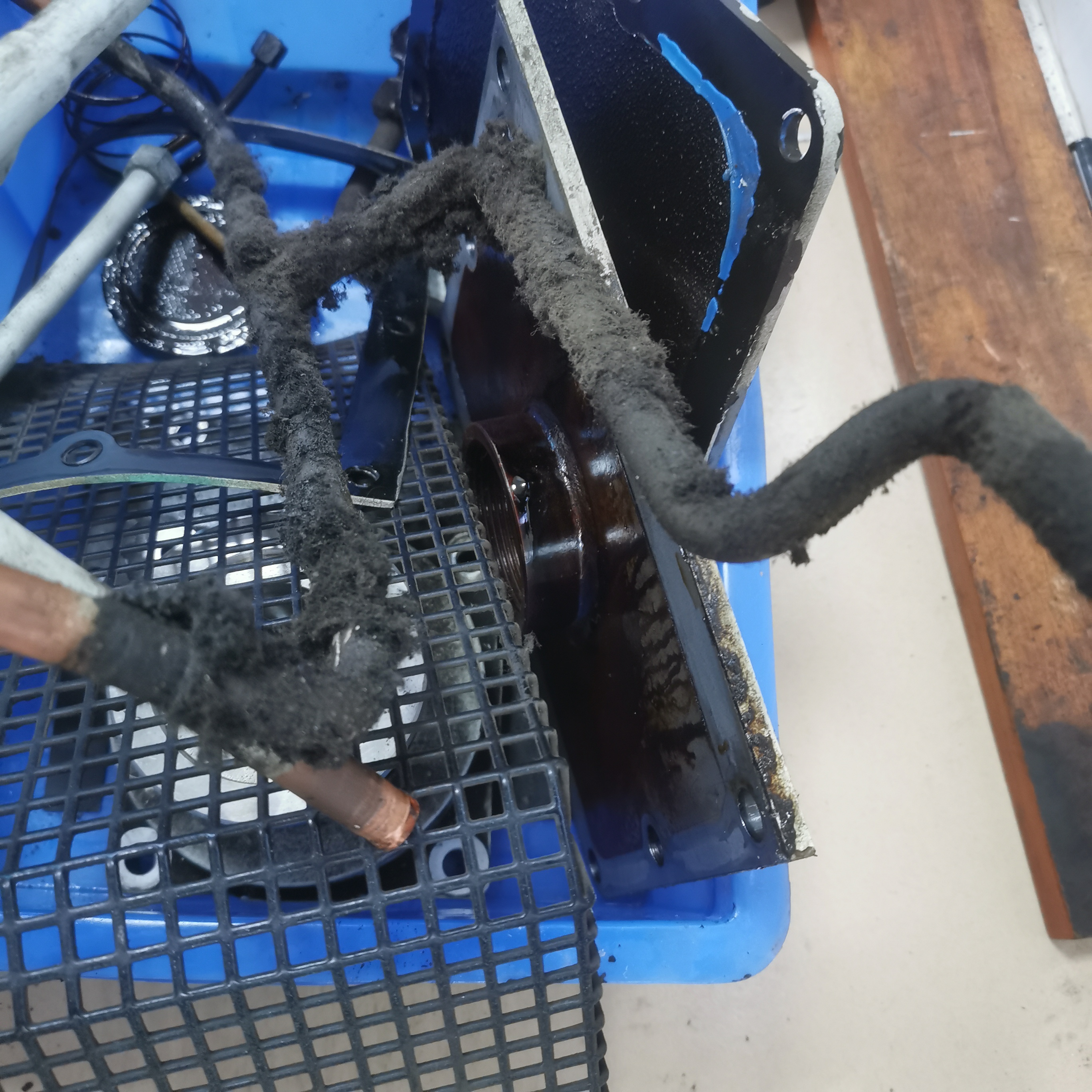 1741000125846748.jpg IMG_20250112_174359.jpg